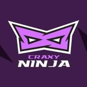 Craxy Ninja